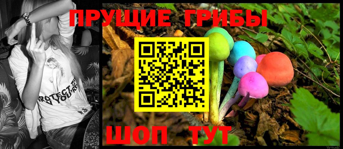 Зима  Псилоцибиновые грибы Psilocybe  Вход с VPN 