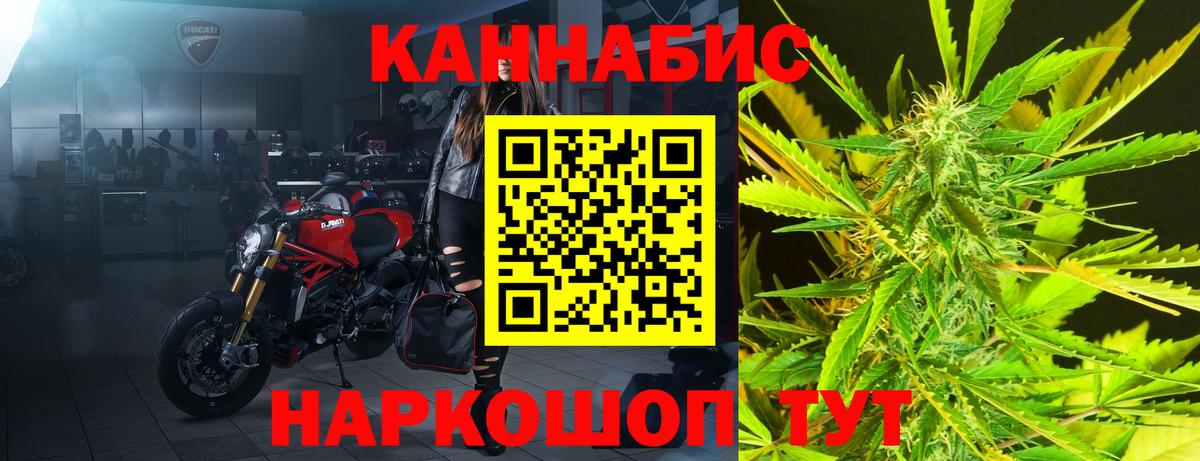 Бошки марихуана Amnesia Зима